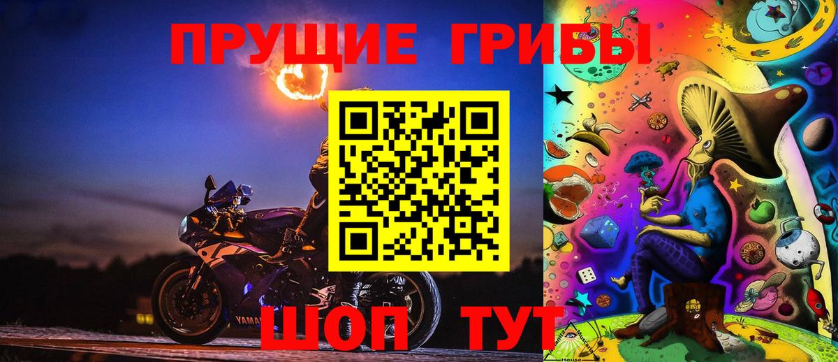 Галлюциногенные грибы Cubensis  Вход с VPN  Барнаул 